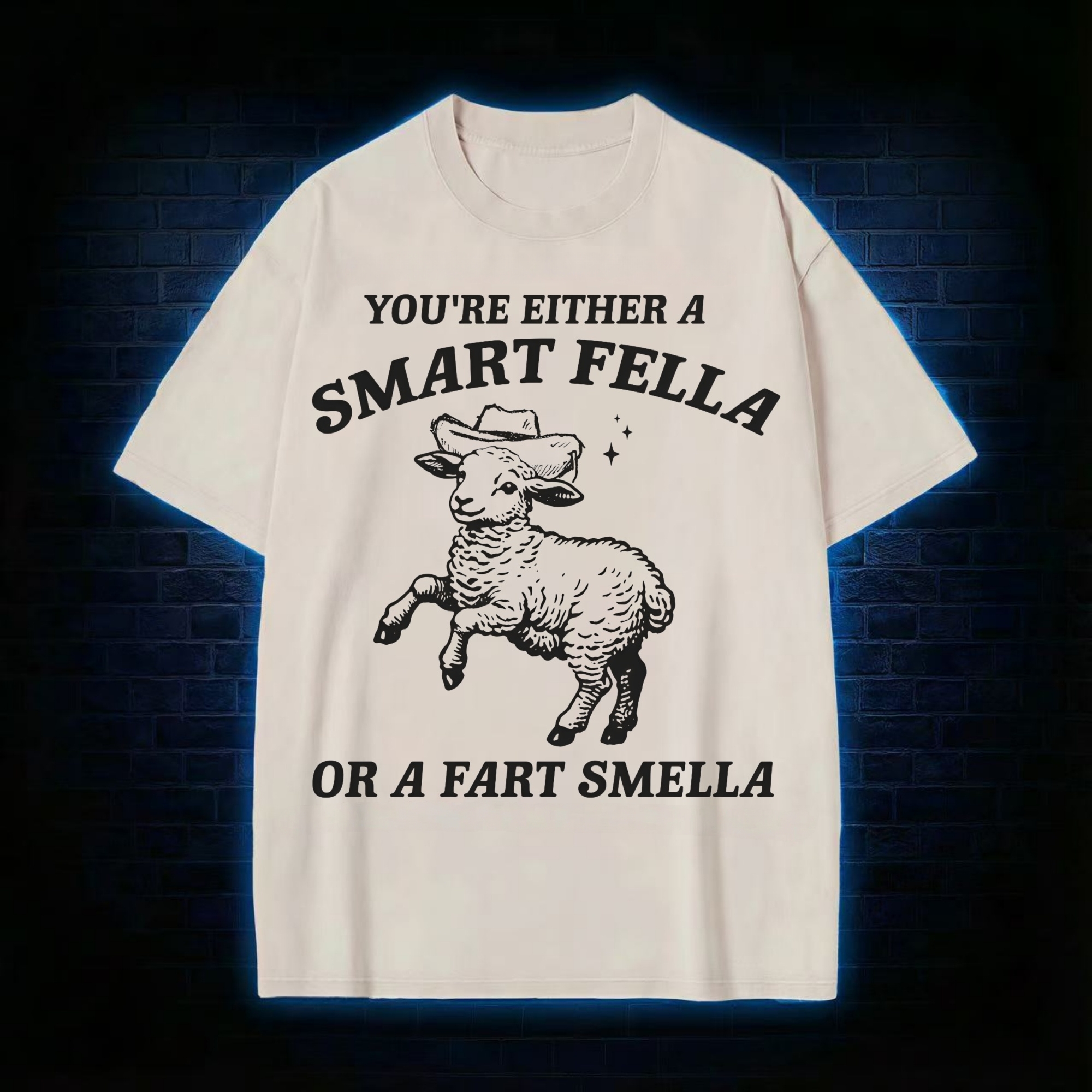 You're Either A Smart Fella Or A Fart Smella Washed T-shirt
