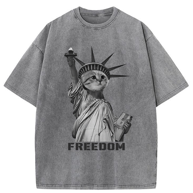  Freedom Cat Statue Washed T-Shirt