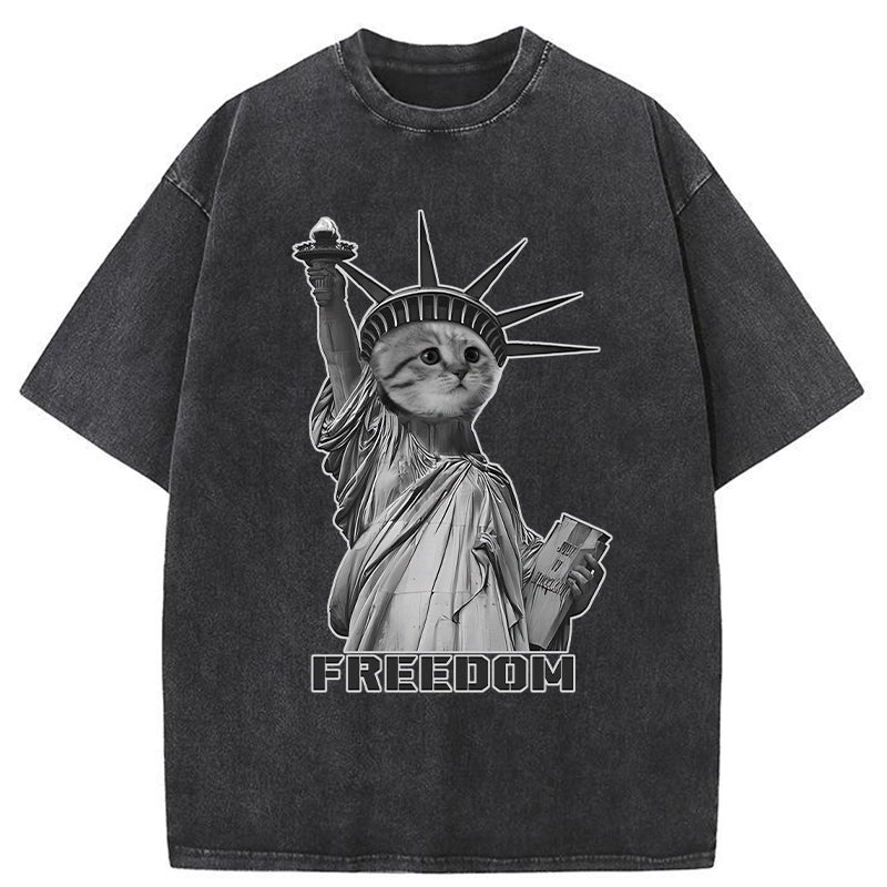  Freedom Cat Statue Washed T-Shirt