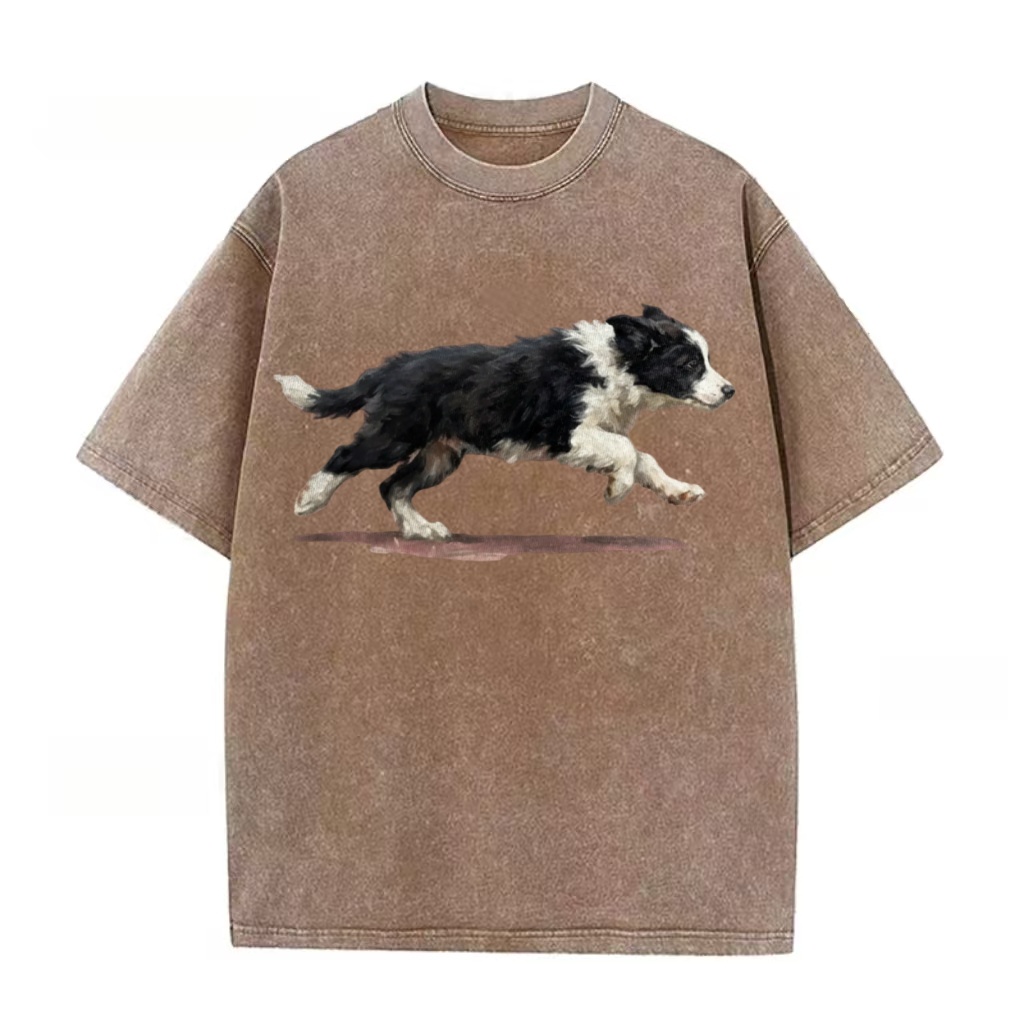 Border Collie Sprint Graphic Washed T-Shirt