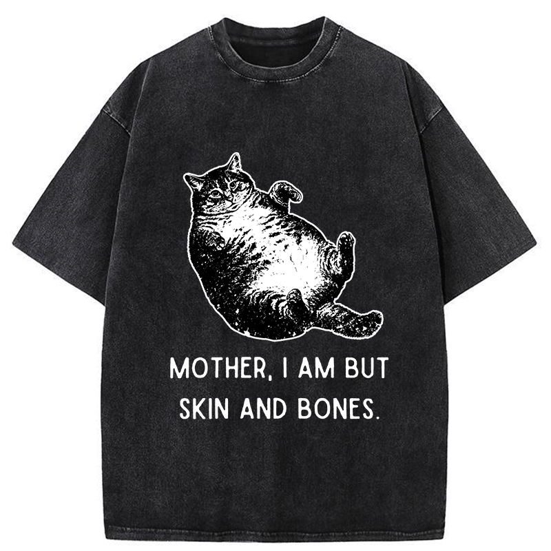 FadedStorm Overweight Cat And Its Doting Owner Washed T-Shirt