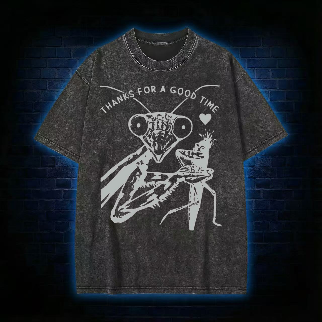 Thanks For A Good Time T-shirt