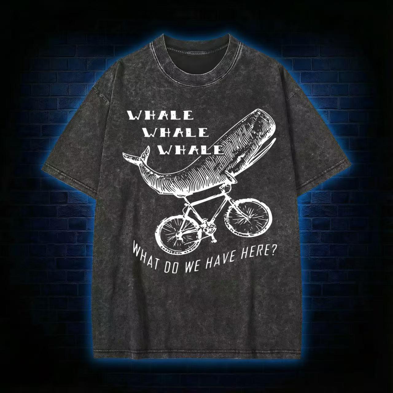 What Do We Have Here? Washed T-shirt