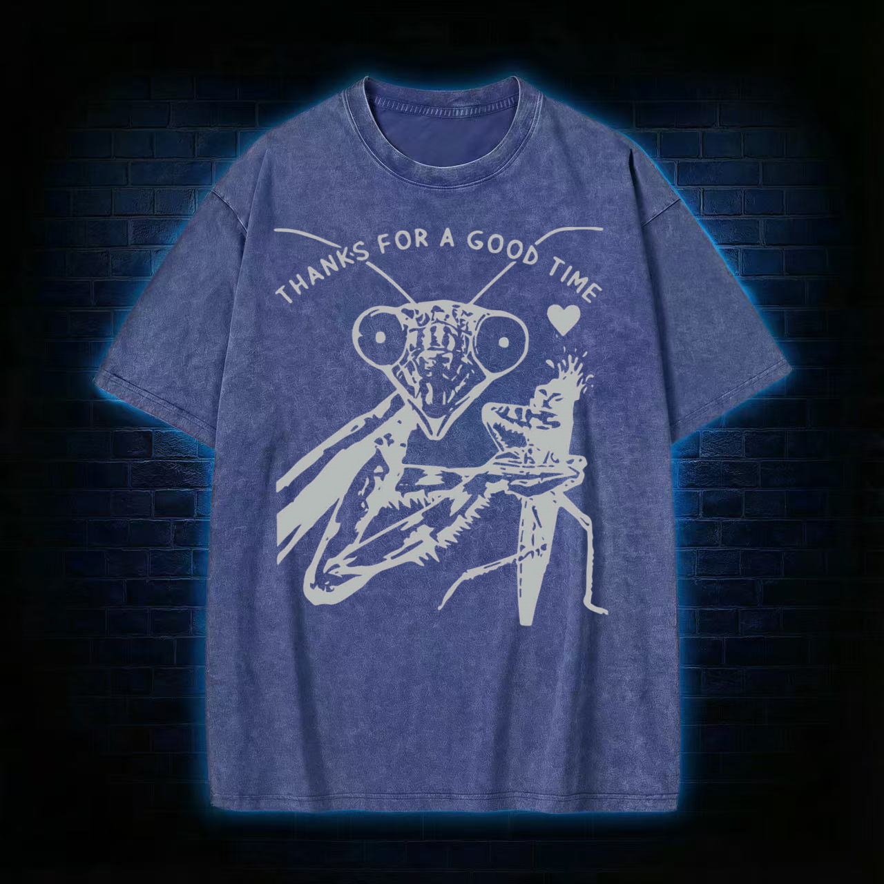 Thanks For A Good Time T-shirt