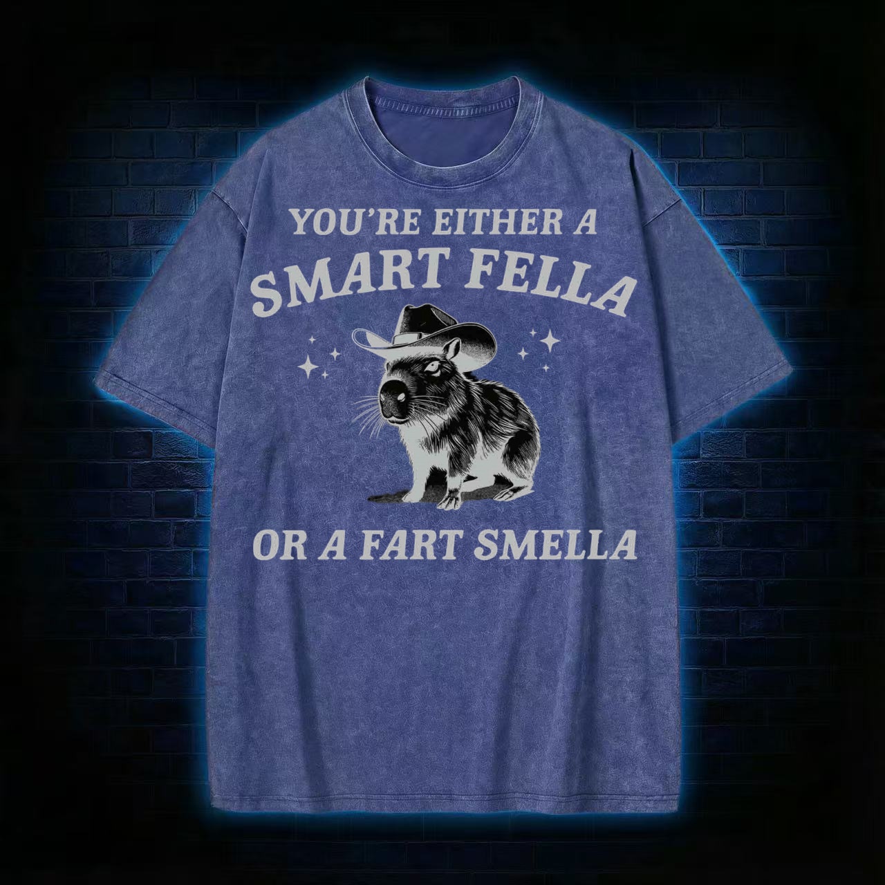 Smart Fella Or Fart Smella T-shirt
