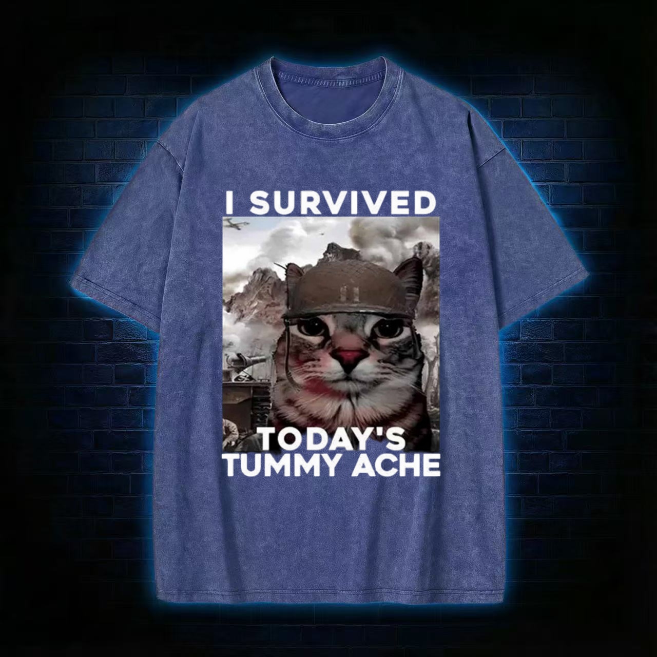 I Survived Today's Tummy Ache Washed T-shirt