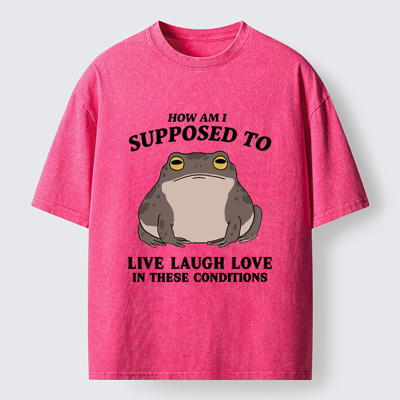 Frog Life Crisis Washed T-Shirt