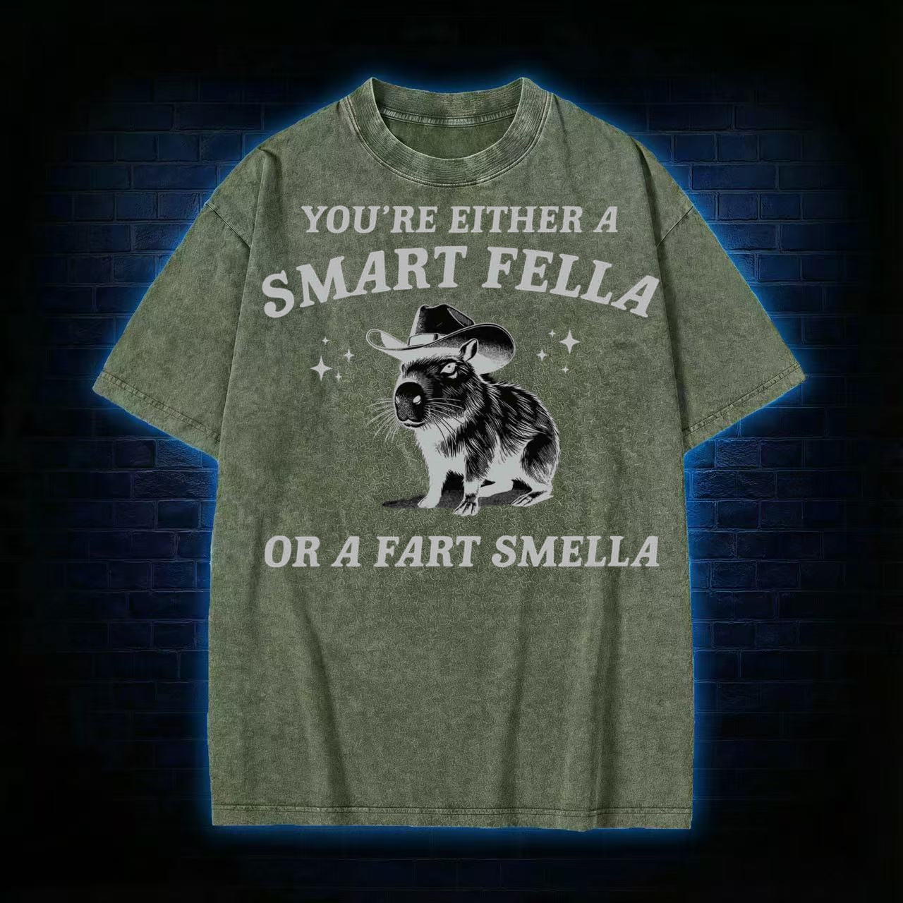 Smart Fella Or Fart Smella T-shirt