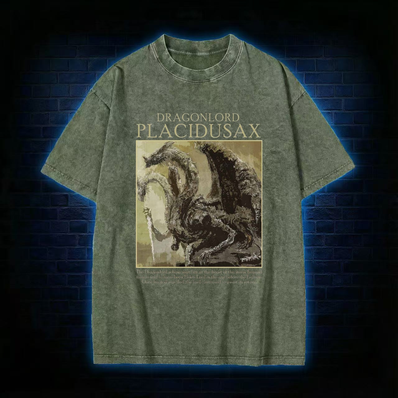 Dragonlord Washed T-shirt
