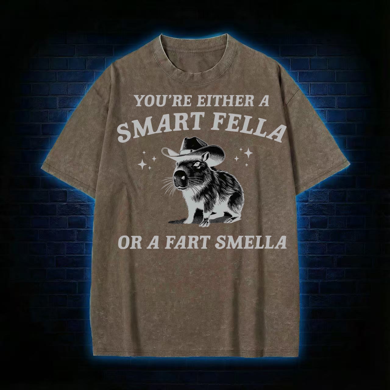 Smart Fella Or Fart Smella T-shirt