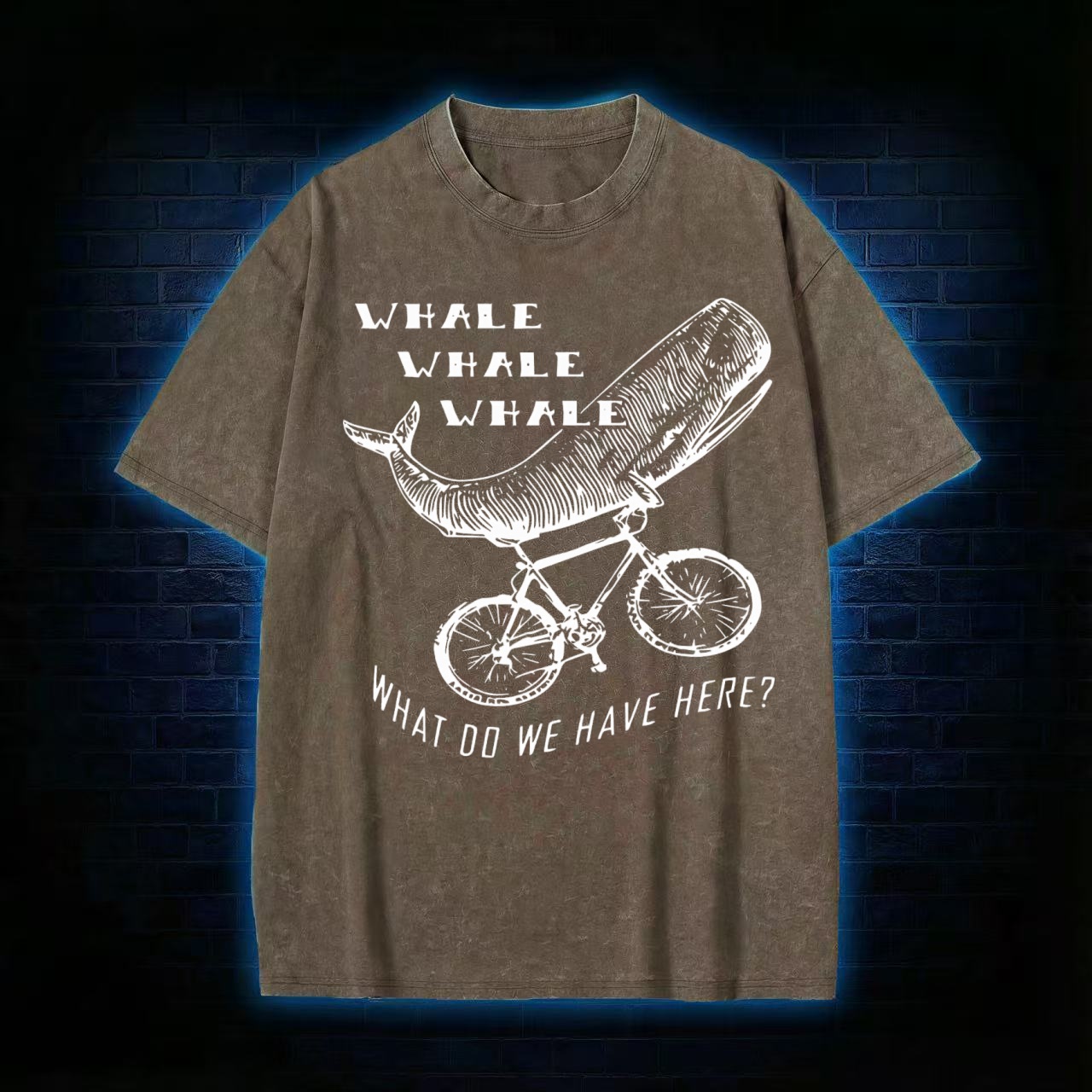 What Do We Have Here? Washed T-shirt
