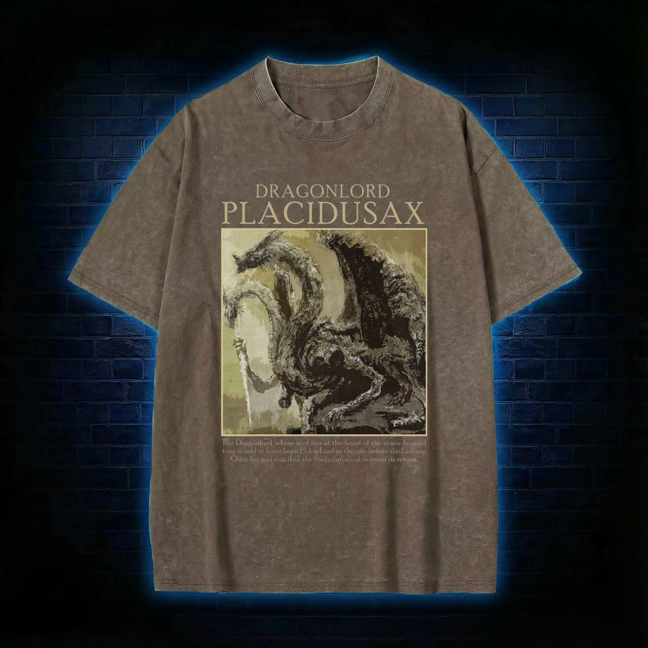 Dragonlord Washed T-shirt
