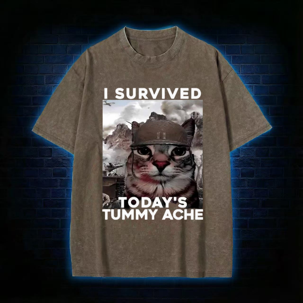 I Survived Today's Tummy Ache Washed T-shirt