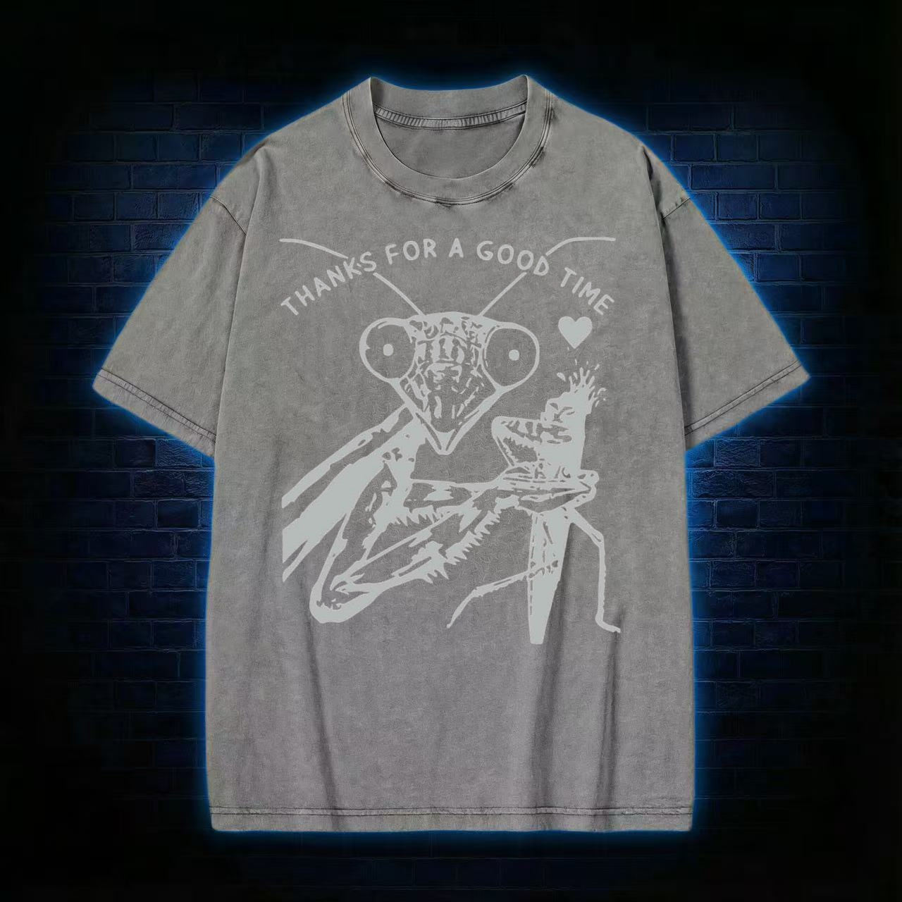 Thanks For A Good Time T-shirt