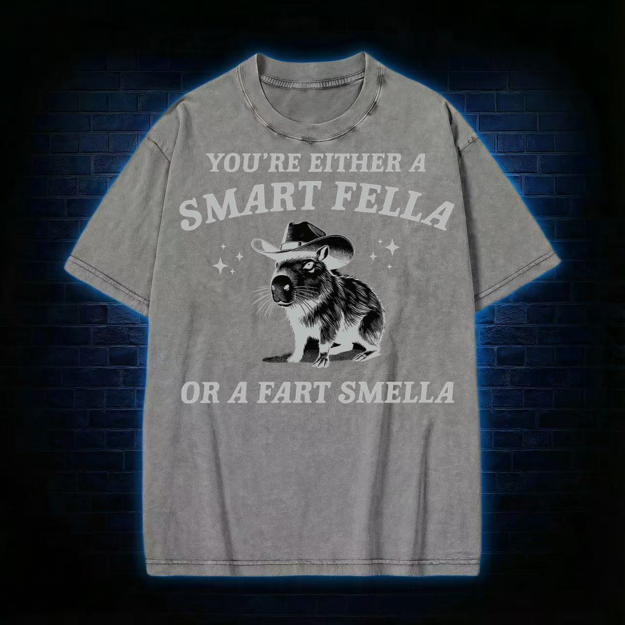 Smart Fella Or Fart Smella T-shirt