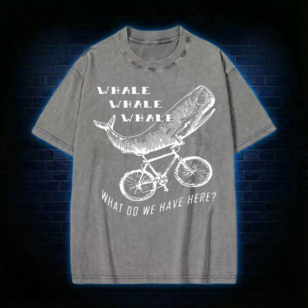 What Do We Have Here? Washed T-shirt