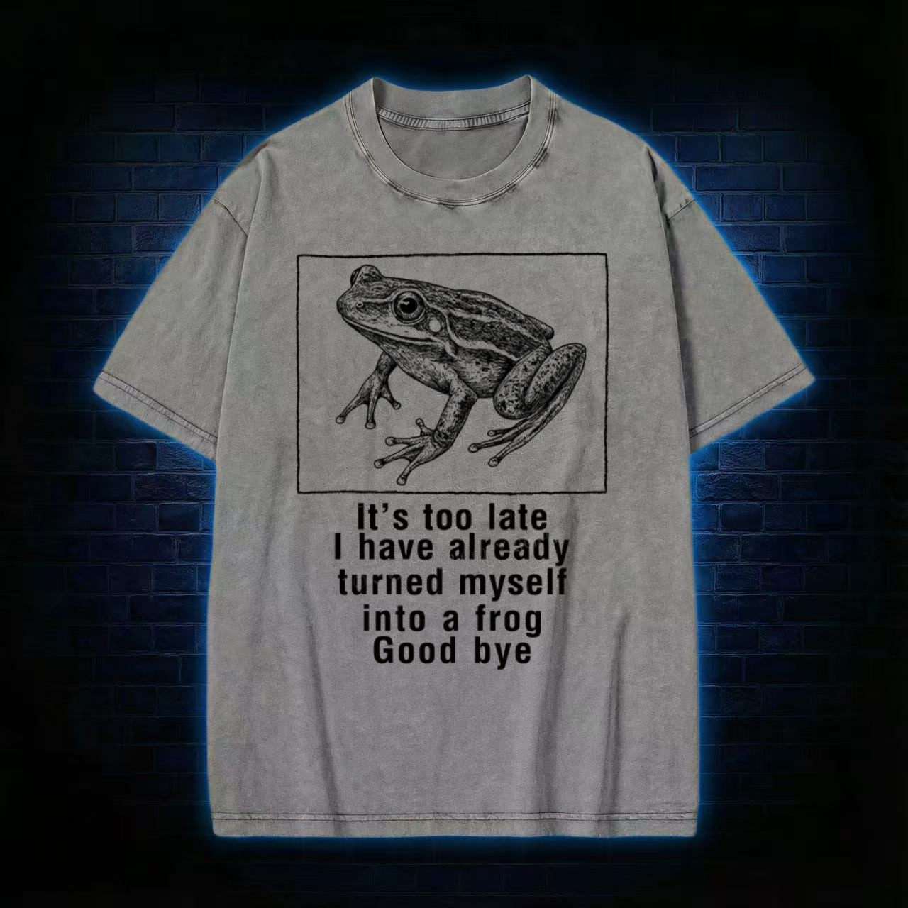 "I Turned Into A Frog" Goodbye Humor Washed T-shirt