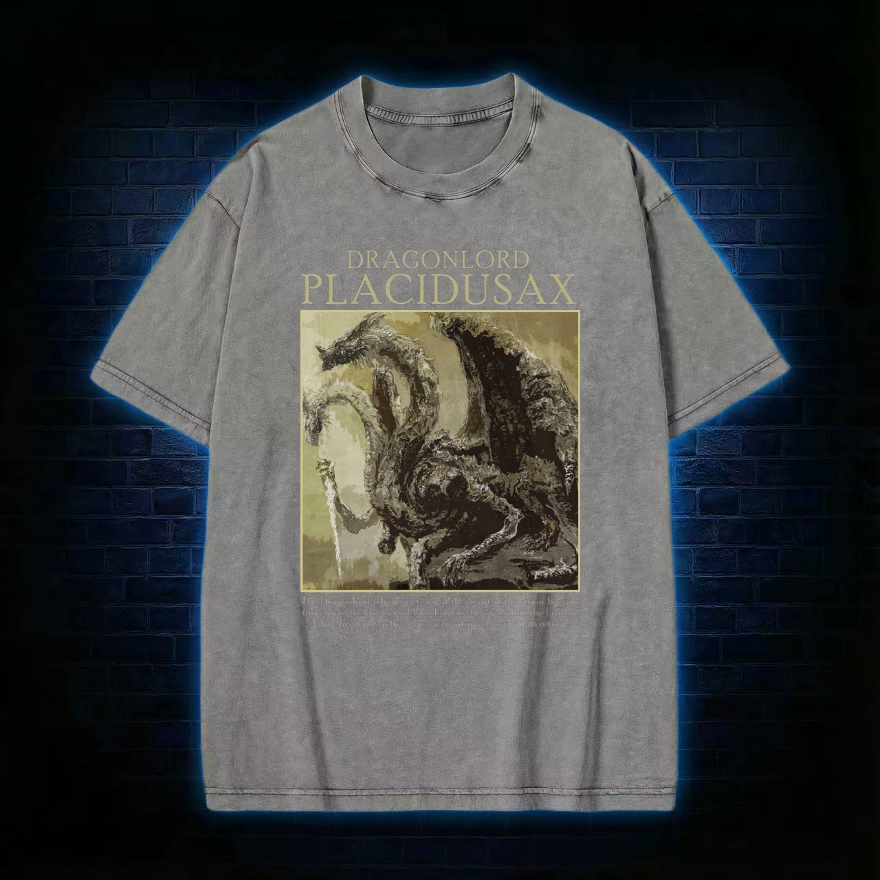 Dragonlord Washed T-shirt