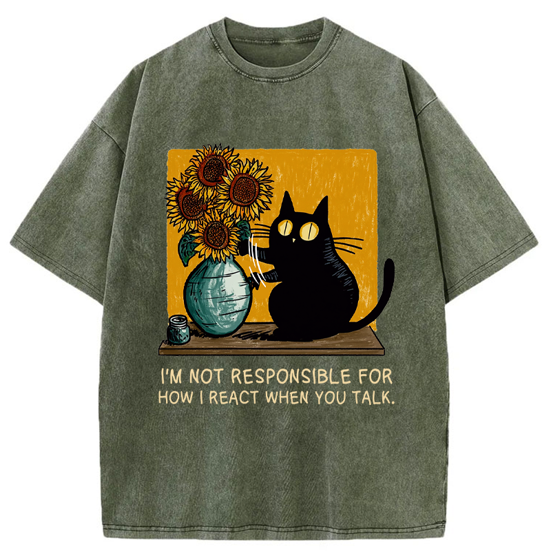 Blame The Words, Not Me Washed T-Shirt