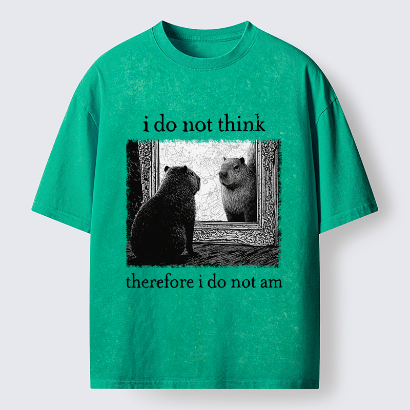  Capybara Paradox Washed T-Shirt