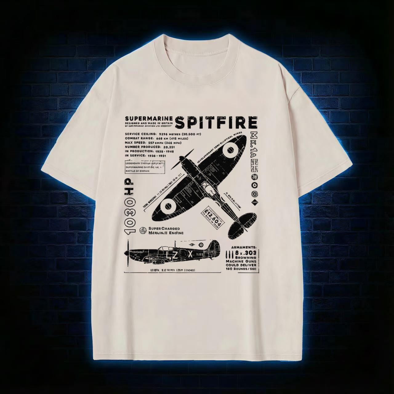 Royal Air Force Marlin Figher Washed T-shirt