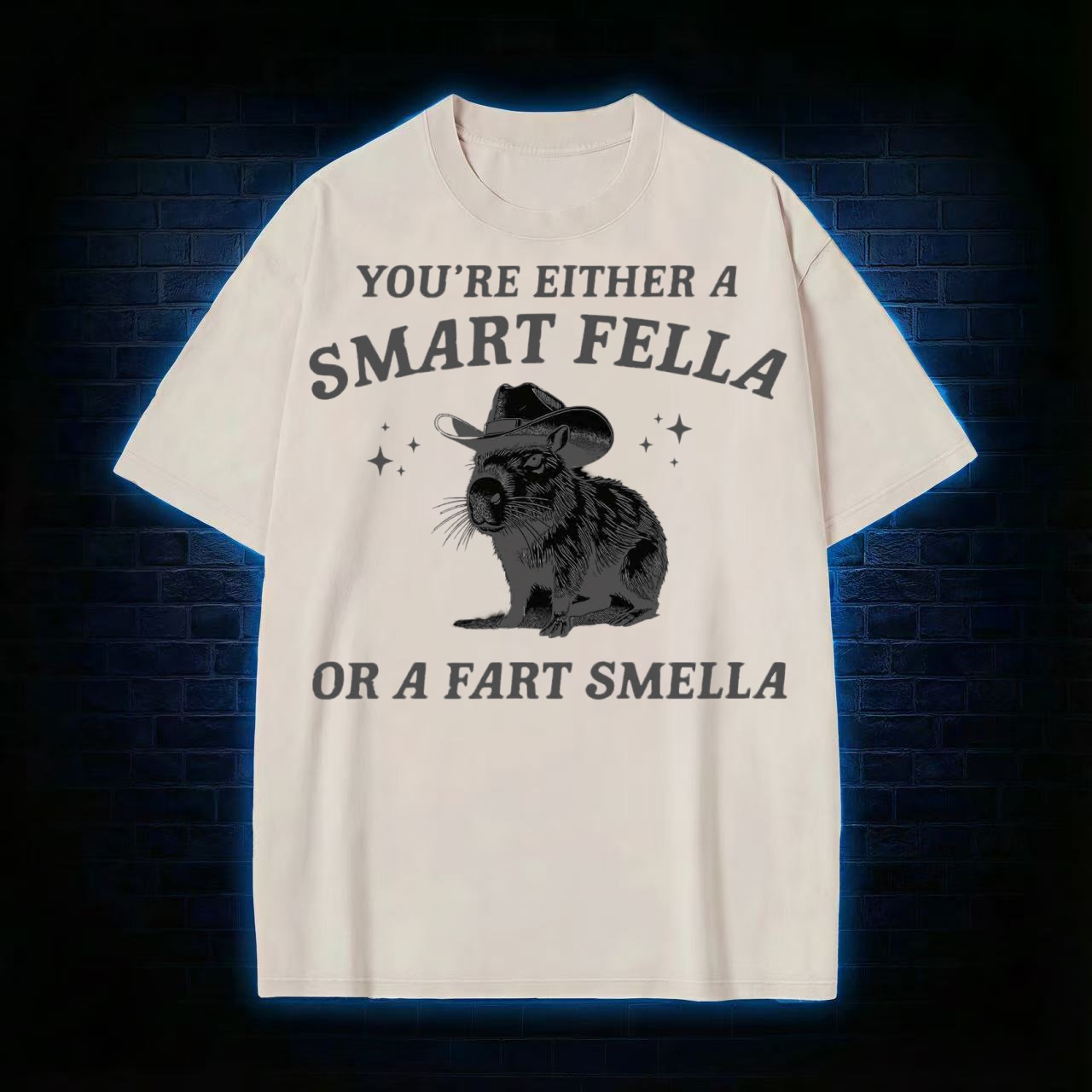 Smart Fella Or Fart Smella T-shirt