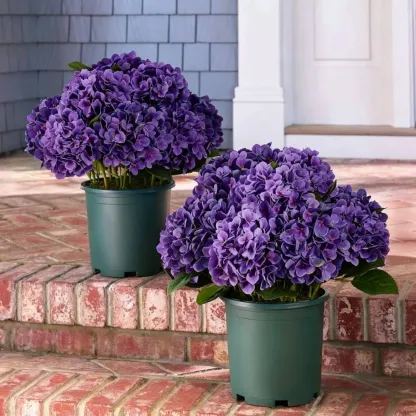💥Last Day 70% OFF💐Artificial Outdoor Hydrangea Flowers - UV resistant, Waterproof, Windproof