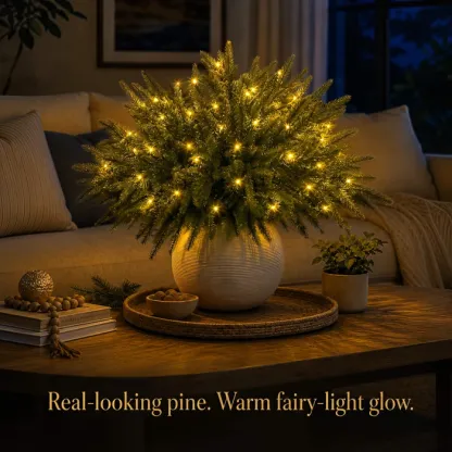 Enchanted Evergreen Pine