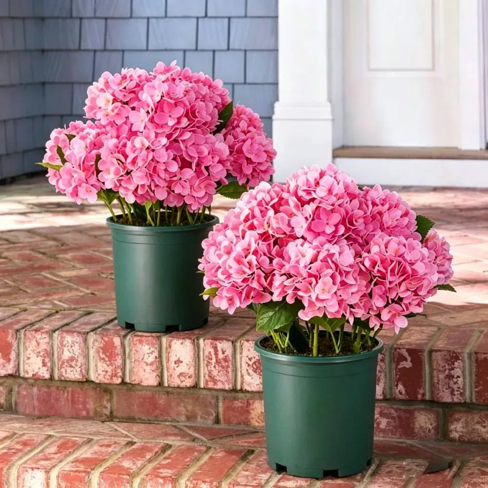 💥Last Day 70% OFF💐Artificial Outdoor Hydrangea Flowers - UV resistant, Waterproof, Windproof