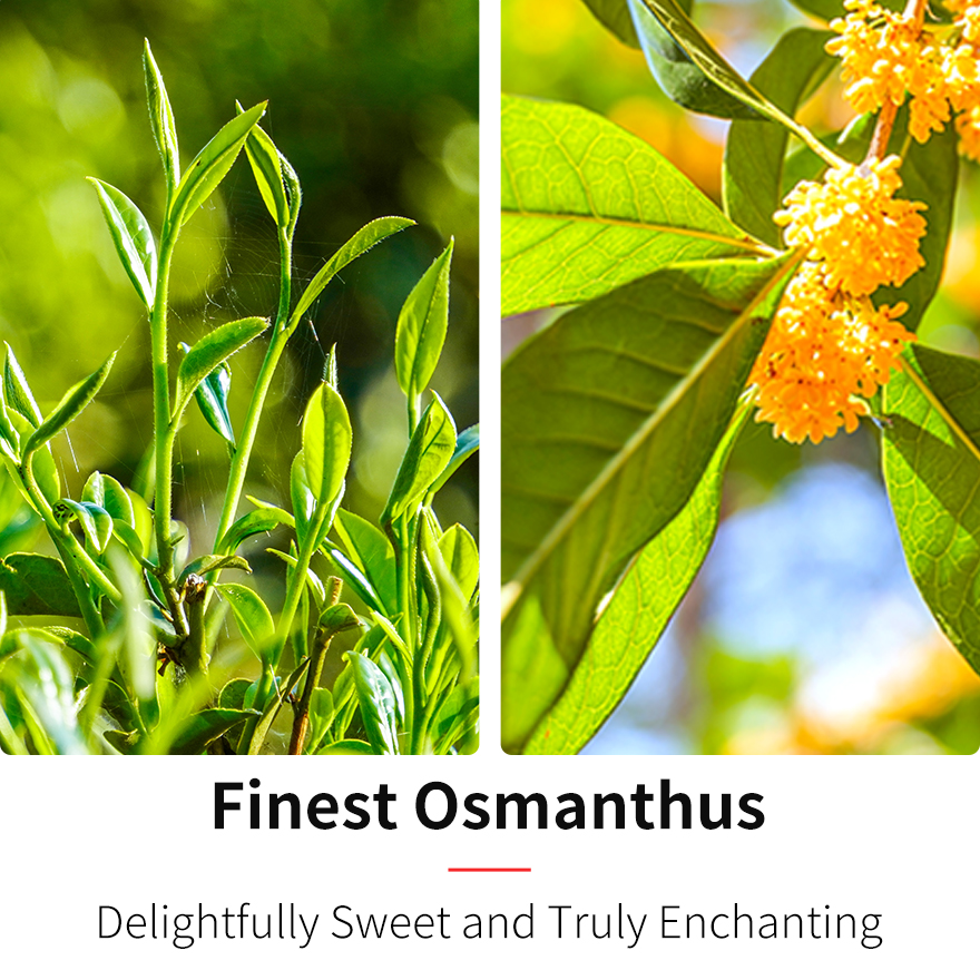 Osmanthus Oolong Tea (Loose Leaf)