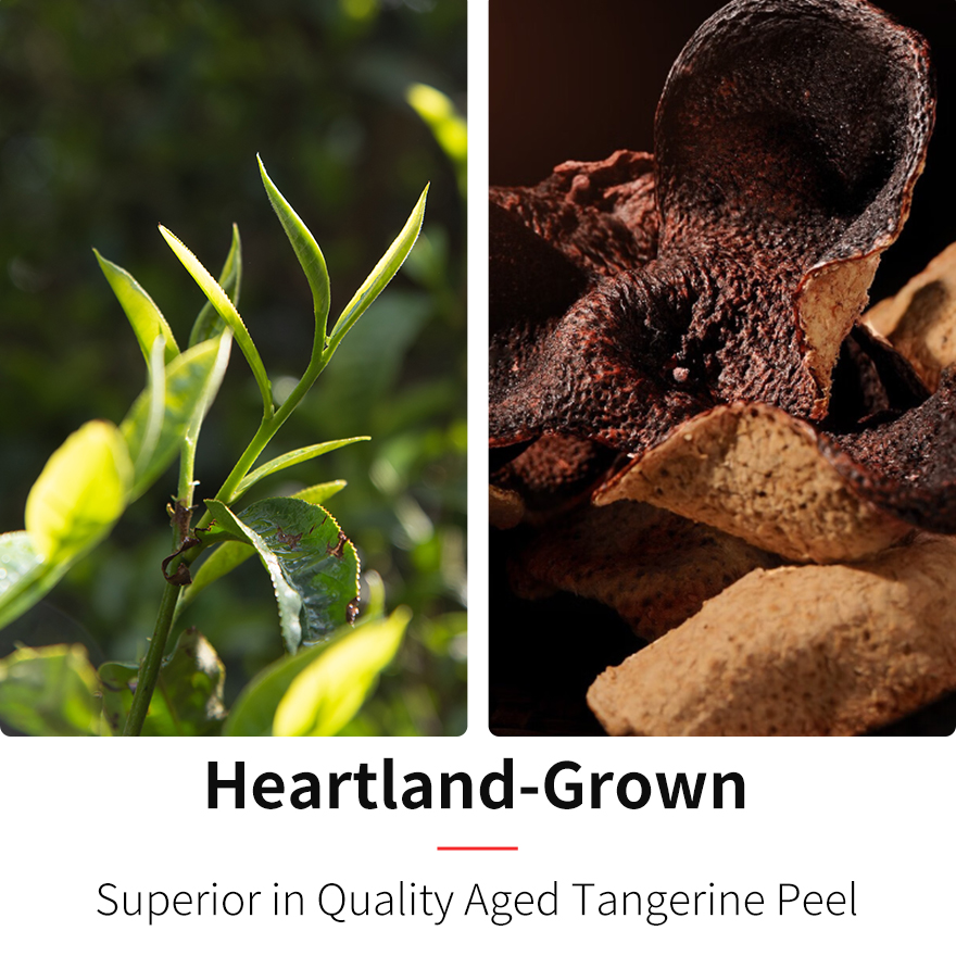 Dried Tangerine Peel White Tea (Loose Leaf)