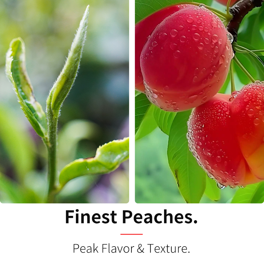 Peach Oolong Tea (Loose Leaf)