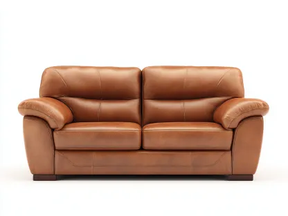 Canapé 2 places en cuir 165x95x85 cm - marron - style classique confortable-Nestlego