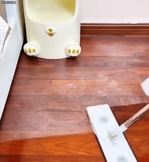 Honeycam 2026-01-29 16-58-22.gif