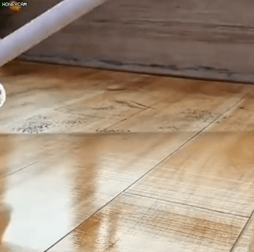 Honeycam 2026-01-29 16-56-36.gif