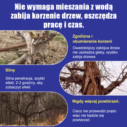 Korzenie mogą wnikać na głębokość do 3 metrów; 30-letni dąb obumarł w ciągu 7 dni!