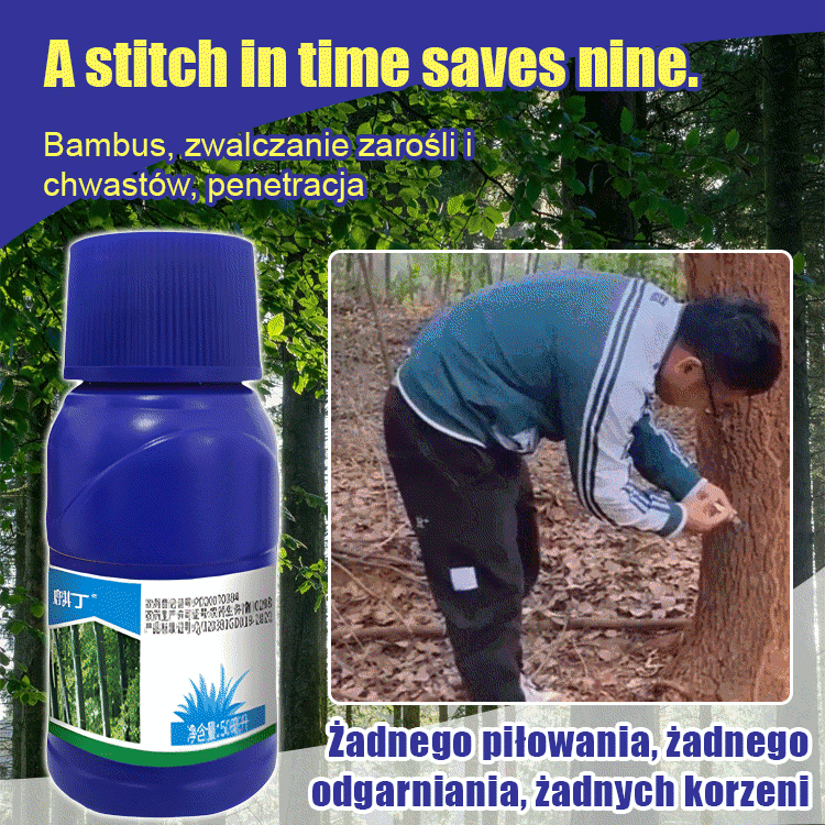 Korzenie mogą wnikać na głębokość do 3 metrów; 30-letni dąb obumarł w ciągu 7 dni!