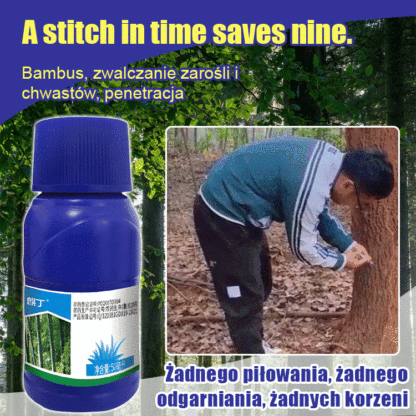 Korzenie mogą wnikać na głębokość do 3 metrów; 30-letni dąb obumarł w ciągu 7 dni!