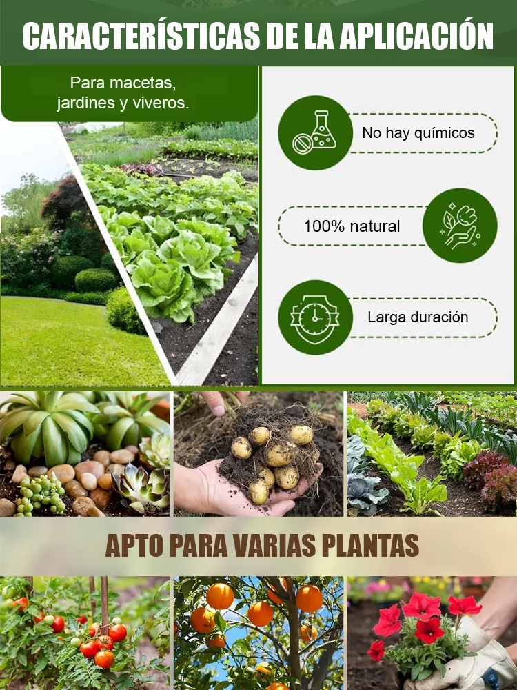 Mejorador de fertilizantes para plantas