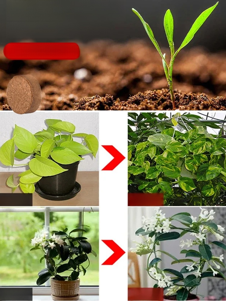【Diez años sin fertilizar】Tierra de cultivo de ladrillos de coco para jardín