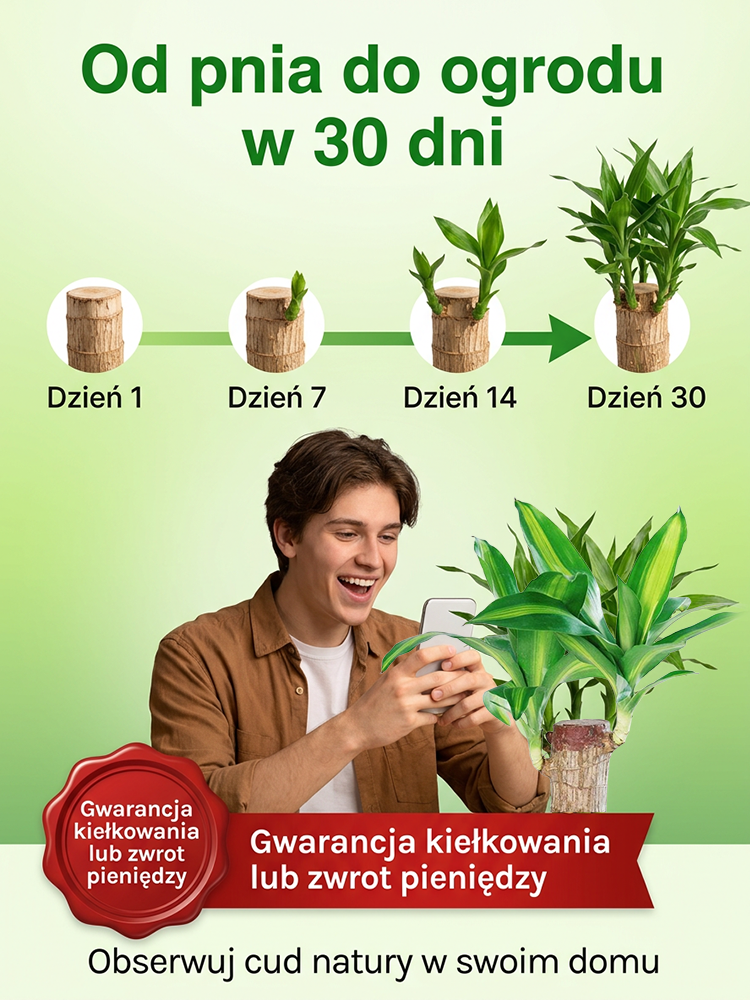 💫Zapomnij o drogich oczyszczaczach. 🌈To brazylijskie drzewko szczęścia – 100% naturalny pochłaniacz smogu i toksyn.