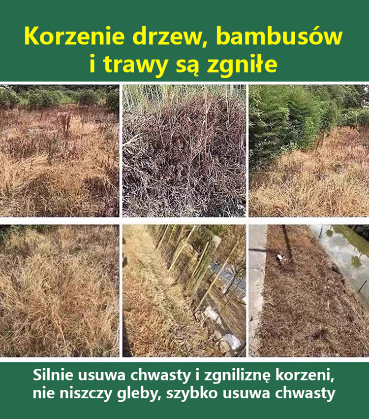 👍 Najwyższej klasy profesjonalny koncentrat chwastobójczy: 1 nakrętka wystarcza na 1000 m² – widoczne efekty już po 3 godzinach i potrójna gwarancja zwrotu pieniędzy!