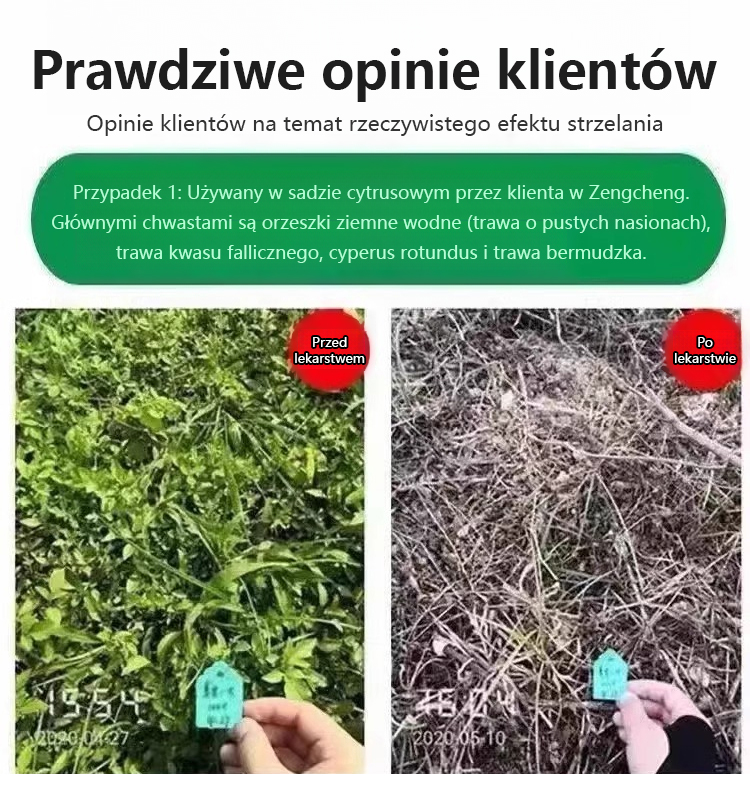 1721238446202766_15.jpg