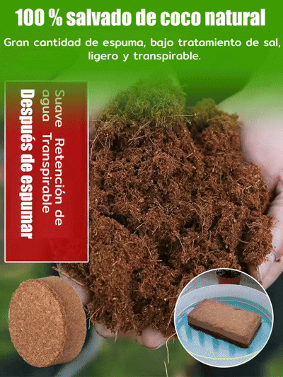 ¡Deja de matar tus plantas! Un bloque nutre por 10 años, elimina la marchitez para siempre 🌿✨¡Trae la selva a tu hogar! Poder de coco natural, raíces 3 veces más fuertes 🌳💎