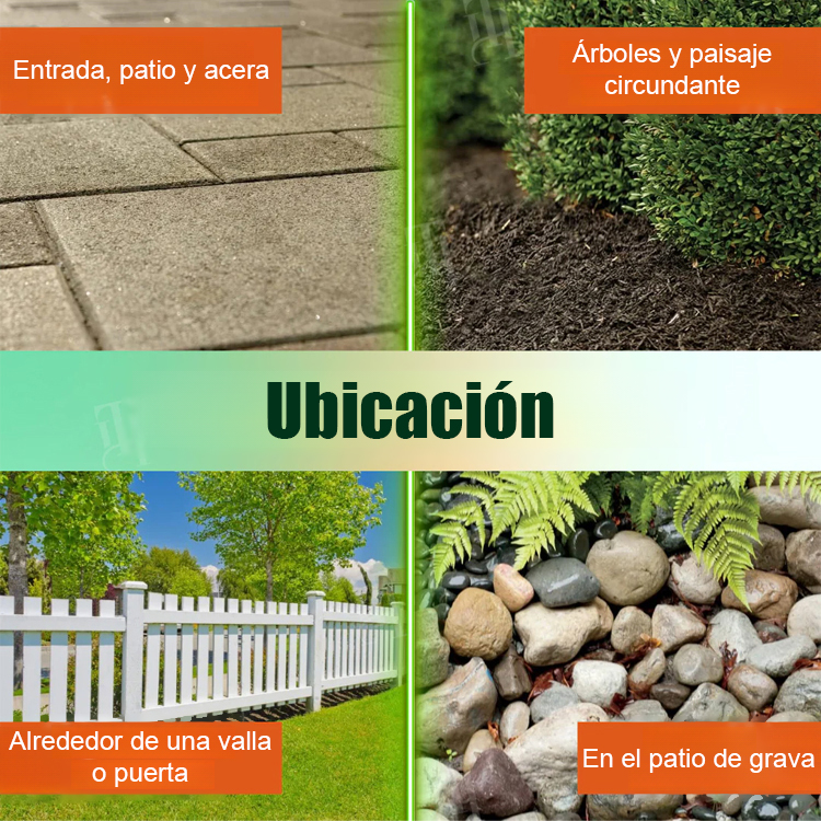 Herbicida potente dos en uno🌿☄️Elimina con precisión las malas hierbas y las hierbas silvestres sin dañar los cultivos.🌾🌾