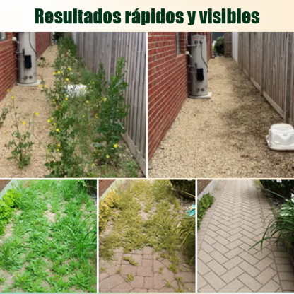 Herbicida potente dos en uno🌿☄️Elimina con precisión las malas hierbas y las hierbas silvestres sin dañar los cultivos.🌾🌾