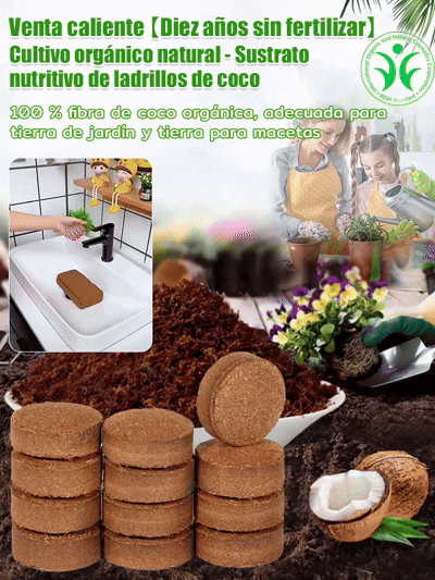 ¡Deja de matar tus plantas! Un bloque nutre por 10 años, elimina la marchitez para siempre 🌿✨¡Trae la selva a tu hogar! Poder de coco natural, raíces 3 veces más fuertes 🌳💎