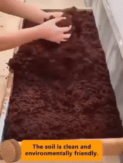 ¡Deja de matar tus plantas! Un bloque nutre por 10 años, elimina la marchitez para siempre 🌿✨¡Trae la selva a tu hogar! Poder de coco natural, raíces 3 veces más fuertes 🌳💎