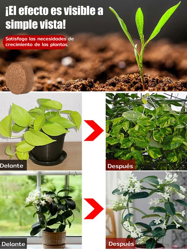 ¡Deja de matar tus plantas! Un bloque nutre por 10 años, elimina la marchitez para siempre 🌿✨¡Trae la selva a tu hogar! Poder de coco natural, raíces 3 veces más fuertes 🌳💎