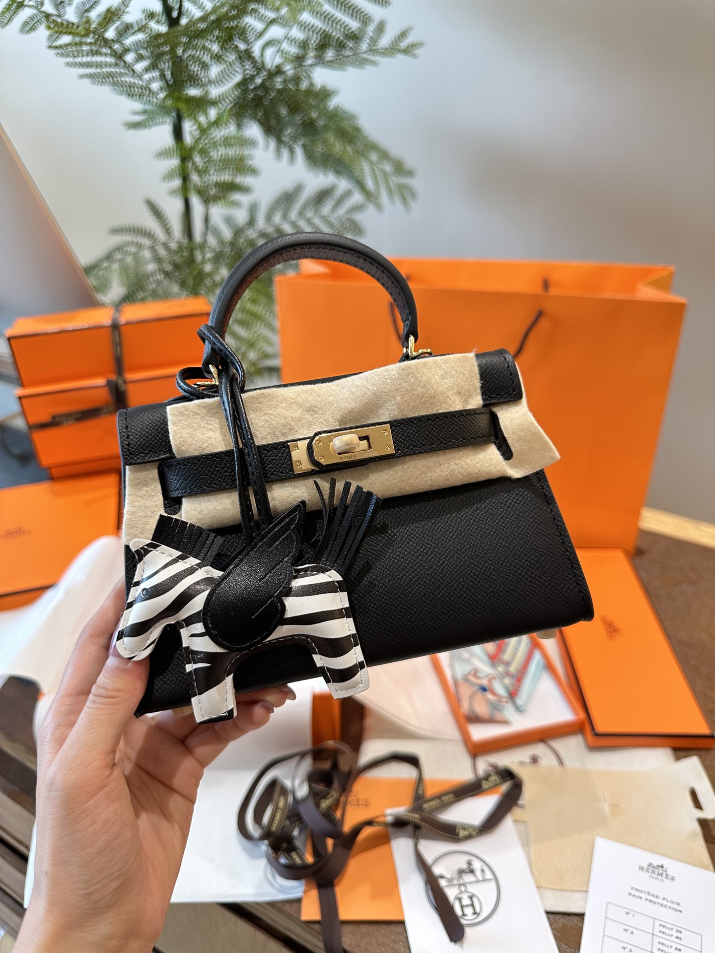 Mini Kelly 20 Bag